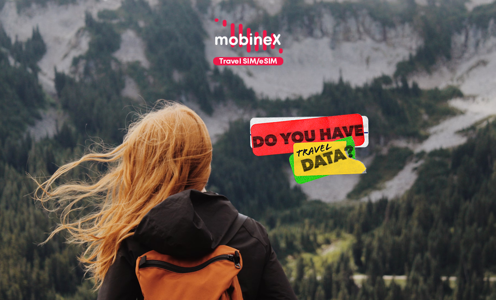 Where Does the Term “Travel Mobile Internet” Come From?